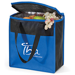 Koolie Carry-All Cooler